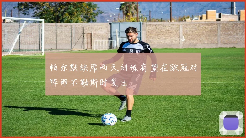 帕尔默缺席两天训练有望在欧冠对阵那不勒斯时复出