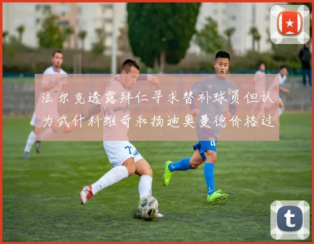 法尔克透露拜仁寻求替补球员但认为武什科维奇和扬迪奥曼德价格过高