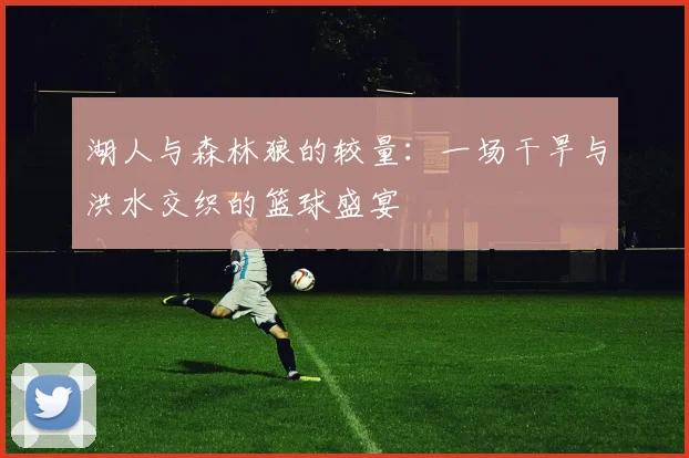 湖人与森林狼的较量：一场干旱与洪水交织的篮球盛宴