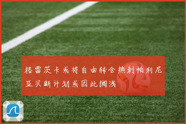 格雷茨卡或将自由转会热刺帕利尼亚买断计划或因此搁浅