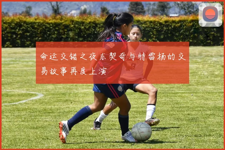 命运交错之夜东契奇与特雷杨的交易故事再度上演