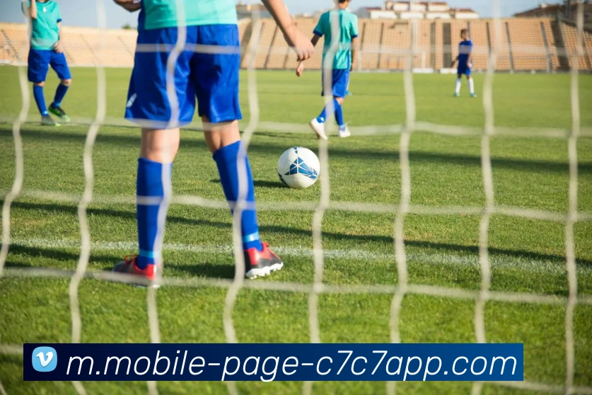 C7C7娱乐平台生态图